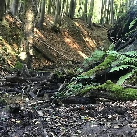 Homelig Altstadt Ferienwohnungen Sassnitz Fewo 4 Bagian luar foto