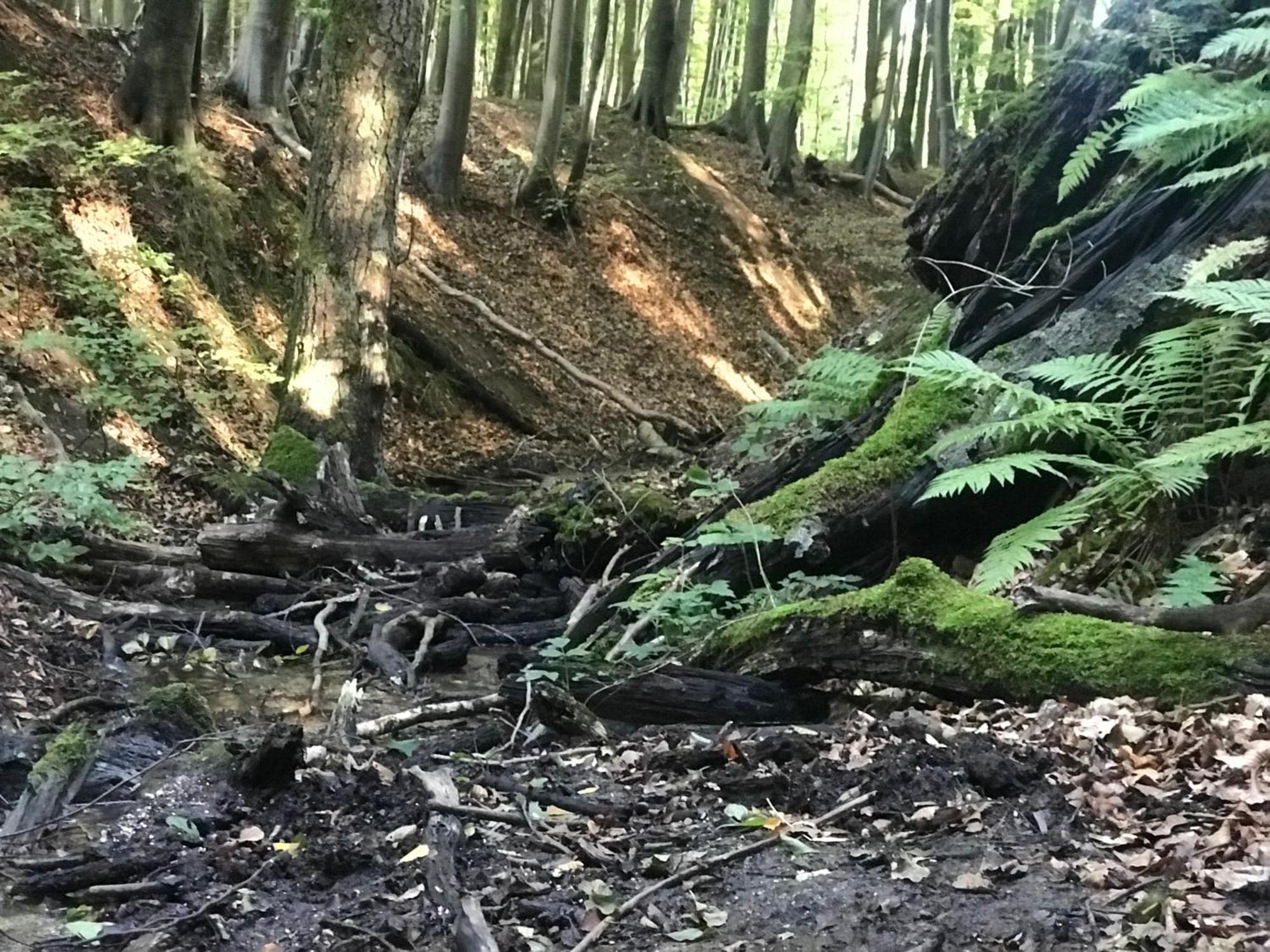 Homelig Altstadt Ferienwohnungen Sassnitz Fewo 4 Bagian luar foto